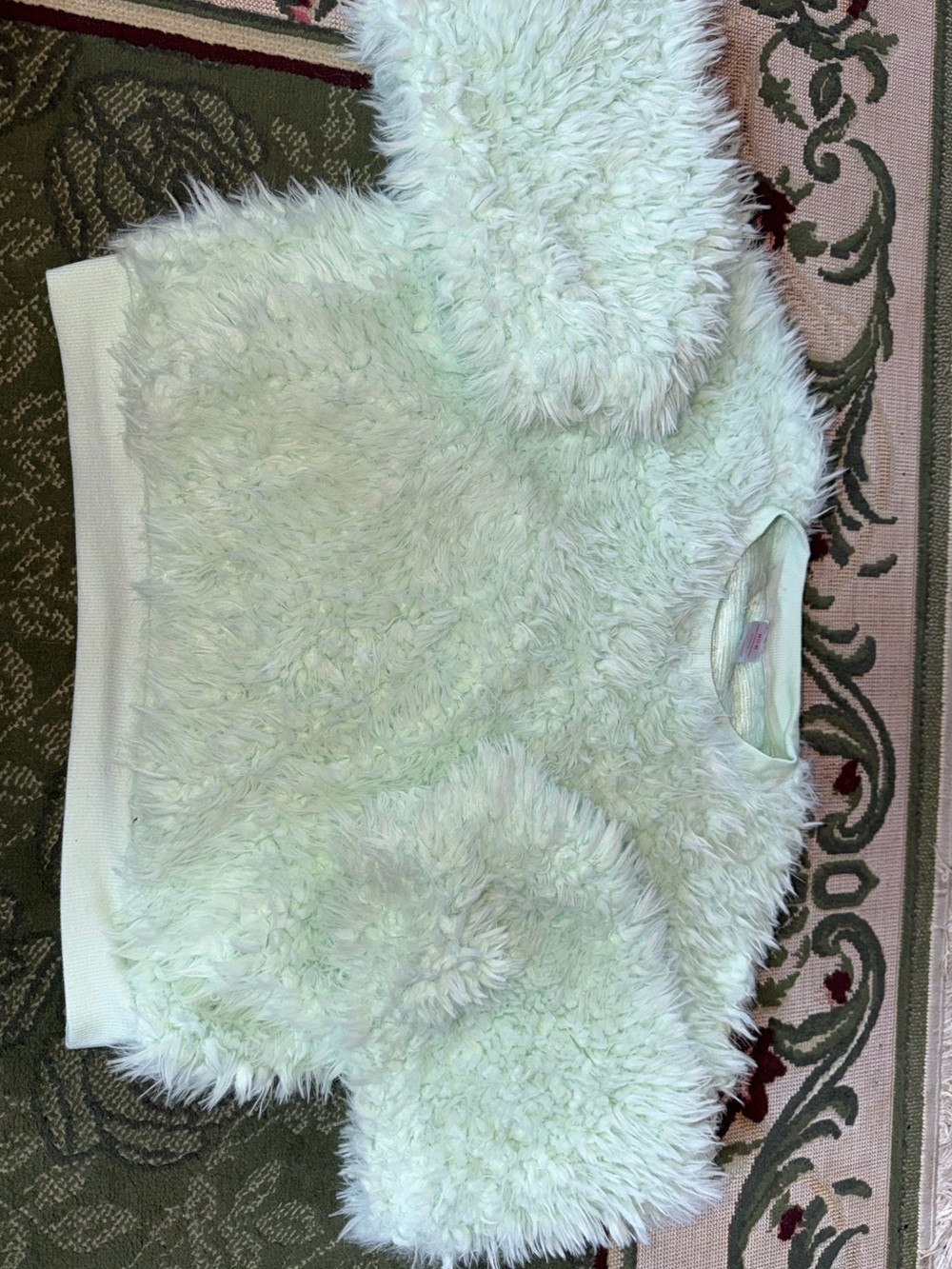 Cozy Women's Faux-Fur Pullover Sweater -mint green